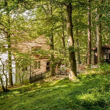 Lemmerwald
