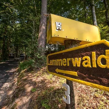 Holiday home Lemmerwald *